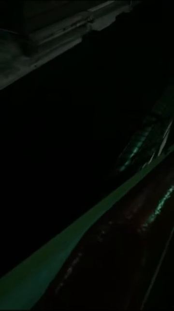 Эд4м 0251 на станций Лосиноостровская