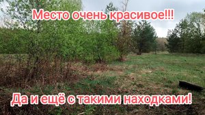 Плохая новость!!!Падение цены на металл!!!