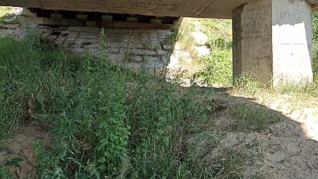 Едем купаться! Река Вязьма в Ивановской области.