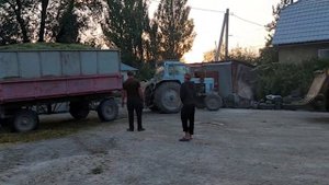 Уборка сорго на силос. Е-281, МТЗ, ПСЕ-20.