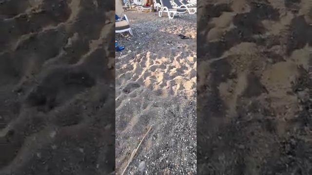 Плюсы и минусы пляжа отеля ,,Sea Life" смотреть онлайн