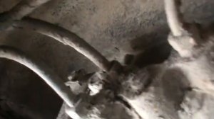 Какую Трубку Куда Привернуть на Колдун Тормозов в Машине