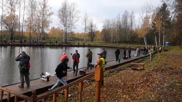 Открытие первого в России кубка Valkein 2019 смотреть онлайн