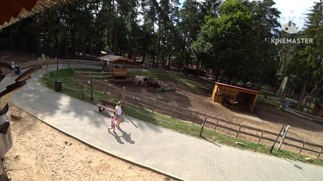 Парк Гайзелвинд 15.08.2024 смотреть онлайн