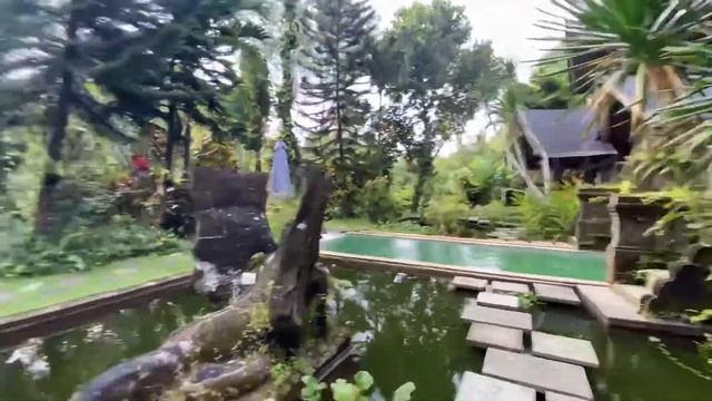 Avalon инвестиции Убуд смотреть онлайн