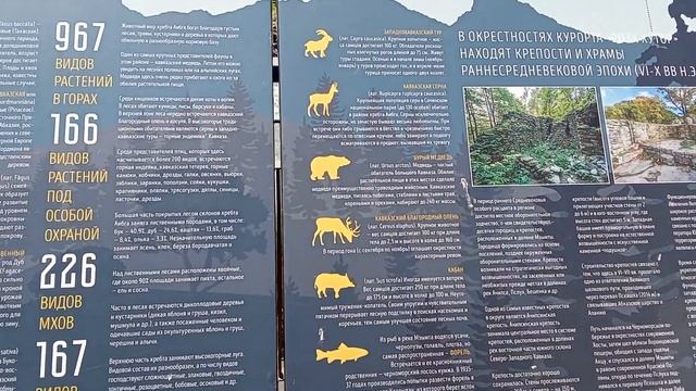 Курорт Розы хутор в Красной поляне 😉 смотреть онлайн