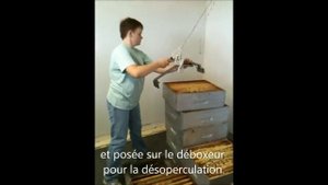 Манипулятор для ульев в помещение от Пасек Бассини