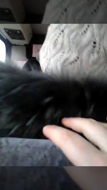 Едим на Алтай^^ смотреть онлайн