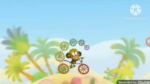 Зебра в Клеточку. Яркие Дни