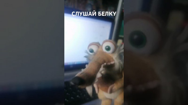 СЛУШАЙ БЕЛКУ