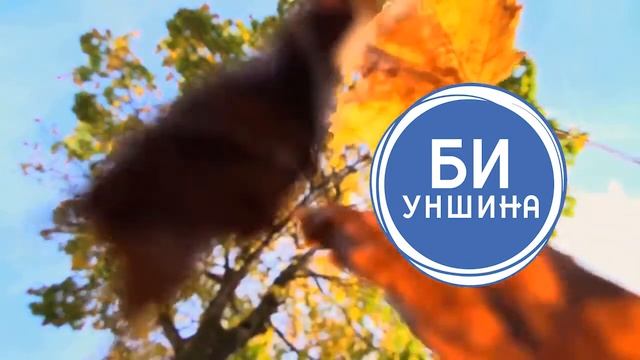 ''Үе Үеийн Хүслэн'' номын 85-р бүлэг *ДАХИН ТЭНГИСИЙН ЭРГЭЭР* смотреть онлайн