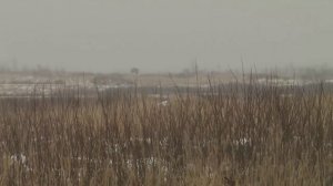 Восстановление БМП-1 для Аллеи славы