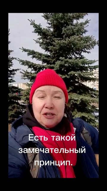 Операционный менеджер управляет всеми ресурсами в отеле смотреть онлайн