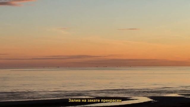 С палаткой на Финском заливе без машины с собакой. Что взять в поход? Уютный выходной влог смотреть онлайн