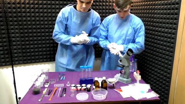 ГОТОВИМ ЗЕЛЬЕ - REAL #1 смотреть онлайн