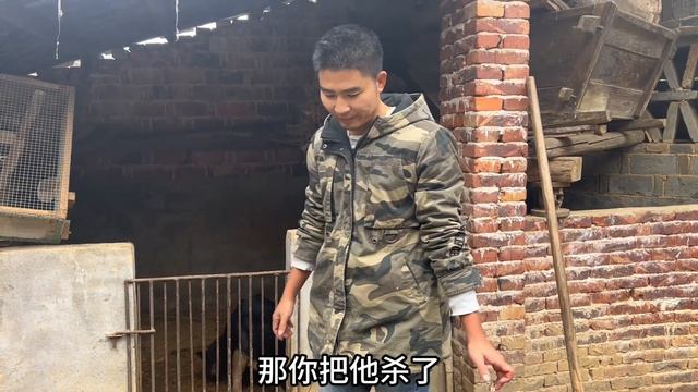 小伙每个月的生活费不够花打算把猪全卖了280元一头有人要吗