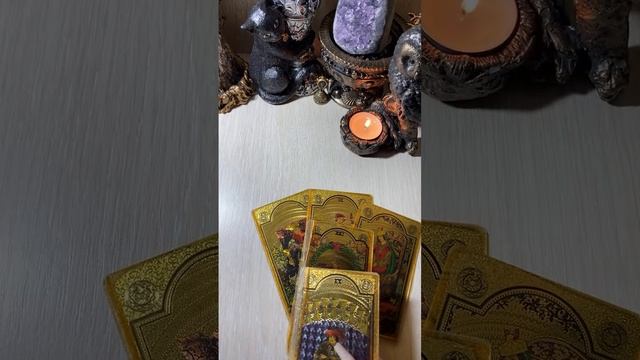 ФЕЛИКСА Tarot в прямом эфире! смотреть онлайн