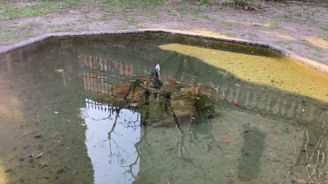 ШЕЛК made in Italy смотреть онлайн