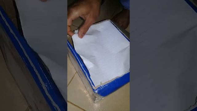Unboxing varanus melinus (biawa sulawesi)
