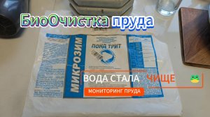 Биологическая очистка пруда. Осмотр воды, сооружений и обитателей