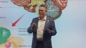 Мозг, еда и эмоции: как они связаны. Вячеслав Дубынин на Deep Food Tech 2024