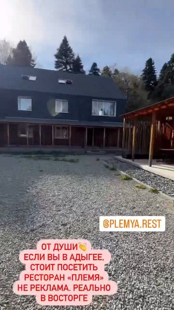Ресторан в Адыгее. #shorts Лиса рулит смотреть онлайн