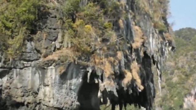 восточный рейли каякинг + мартышки в отеле смотреть онлайн