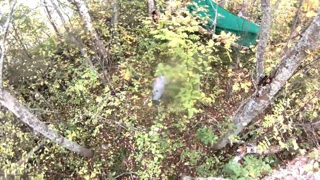 В лесу на острове в Карелии - 10 дней осени вне цивилизации смотреть онлайн