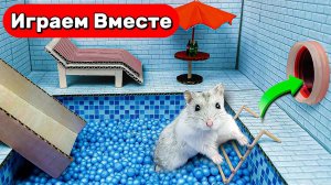 Лабиринт для Хомяков и милый Кролик 🐹🐰 Хомяк проходит ИГРУ В КАЛЬМАРА и лабиринт СПАНЧ БОБА !
