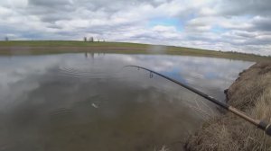ЗДЕСЬ ВОДЫ ПО КОЛЕНО! РЫБАЛКА ПЕРЕД ПОЛОВОДЬЕМ НА СПИННИНГ И КРУЖКИ!