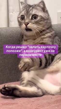 Было у тебя такое? Пиши в комменты!