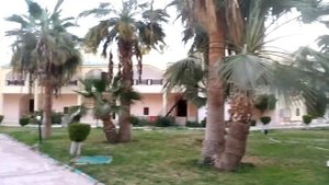 Отель Golden Five, Хургада