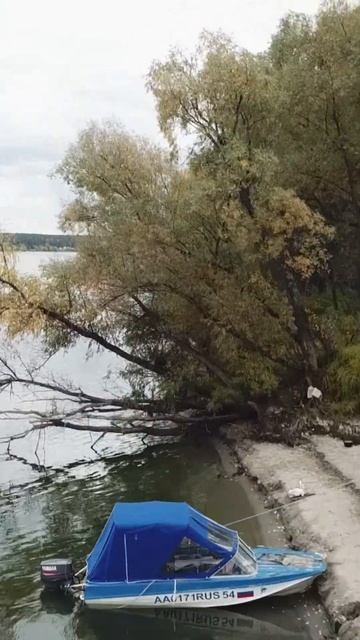 Золотая осень смотреть онлайн