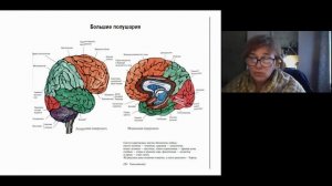 Леханова О.Л., Логопсихология