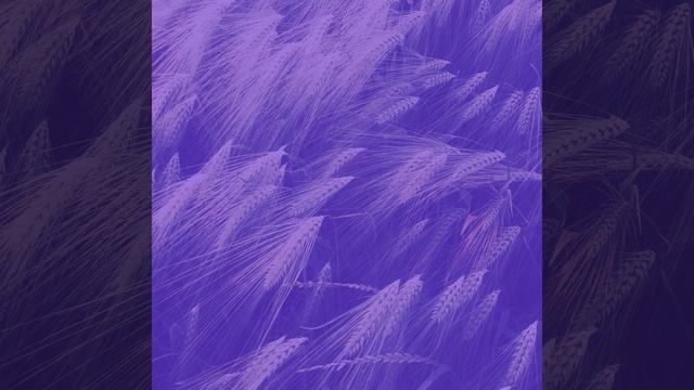 Музыка (Кофейни) смотреть онлайн