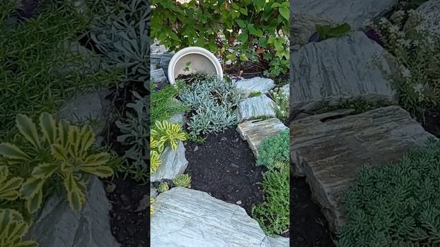 Любимый сад 🏡❤️🍃 смотреть онлайн