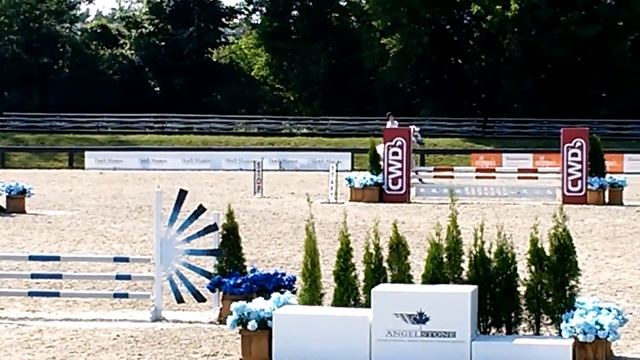 Clover and Bea Pony jumpers at Angelstone