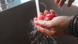 Рекламный ролик для Столовая Ложка (имиджевый, реклама 2024, размещение внутри заведения на ТВ)