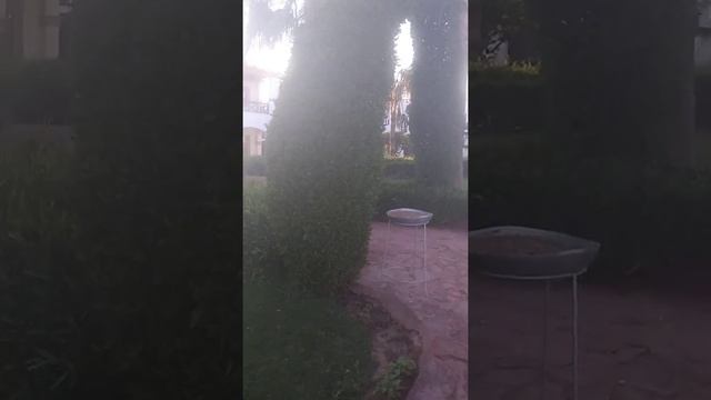 Обзор территории отеля SHORES ALOHA RESORT 4* (Шарм-Эль-Шейх, Египет) смотреть онлайн