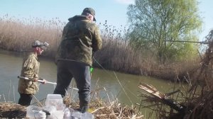ПОЛ ЖИЗНИ МЕЧТАЛ О ТАКОЙ РЫБАЛКЕ! Дикий жор в зарослях камыша карповой рыбы всех мастей! С ночёвкой