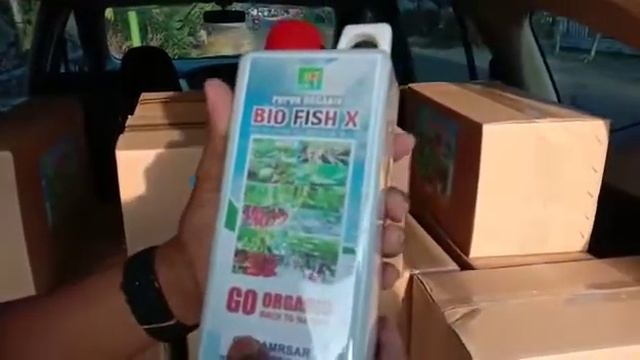 viral  pupuk paling dicari!!!!!!!! pupuk minyak ikan siap kirim kesambirejo banyuwangi, lagi viral