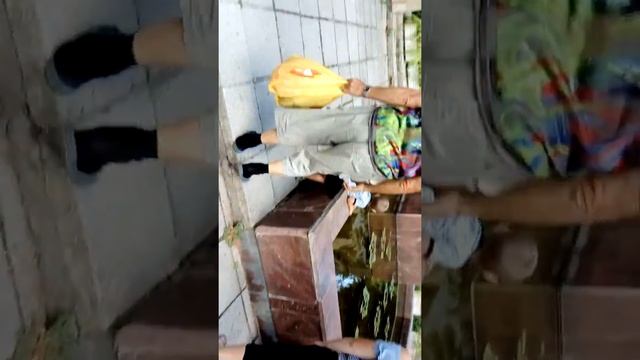 Гуляем санаторию "Крым" в Партените. смотреть онлайн