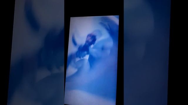 Драконы в реальной жизни смотреть онлайн