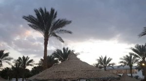 Египет пляж отеля Queen Sharm Resort Egypt Beach Hotel Queen Sharm Resort