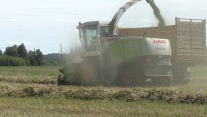 Тры CLAAS JAGUAR 850./870. НА Уборке сенажа в Белоусовщине