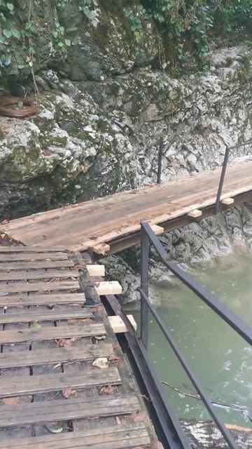 Ущелье Черниговка#СвароговВидео #Абхазия #горыкавказа #Водопад #Вгорах #mauntains #Ущелье #shorts смотреть онлайн