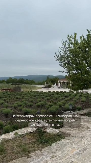Кусочек Франции в Анапе! Винодельная Шато Андре #travel #путешествиенаюг #путешествия #анапа