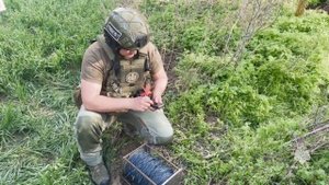 Обезвреживание авиабомбы времён ВОВ в Зимовниковском районе