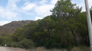 Окраина поселка Чиралы, Турция