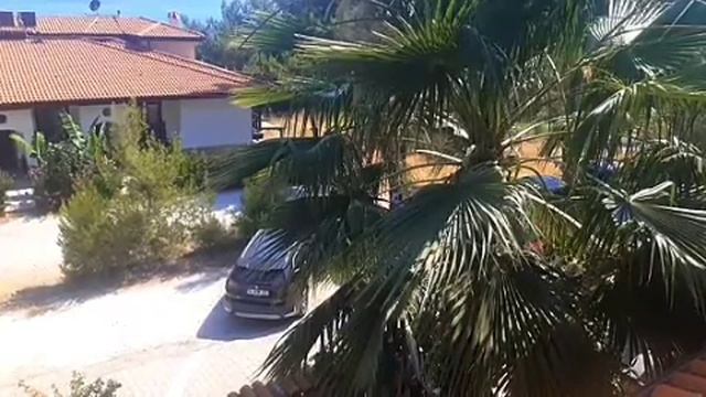 ВЕСЫ - Сентябрь 2024 На Гребне Удачи и Везения┃#гороскоп #весы #сентябрь #2024 #топ #удача #любовь смотреть онлайн